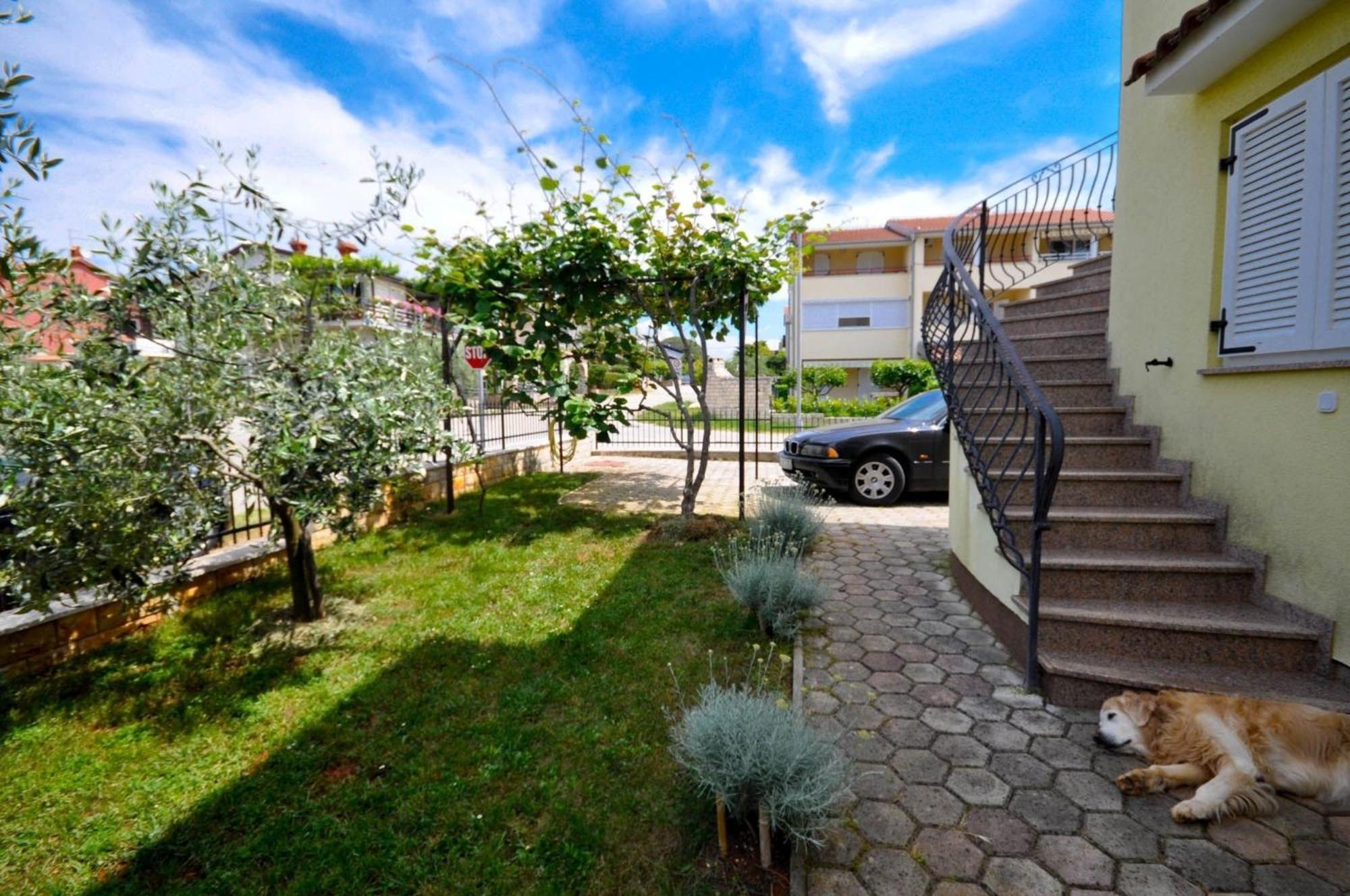 Ferienwohnung Fuer 2 Personen 30 M2 In Novigrad, Istrien Karpinjan Exterior photo